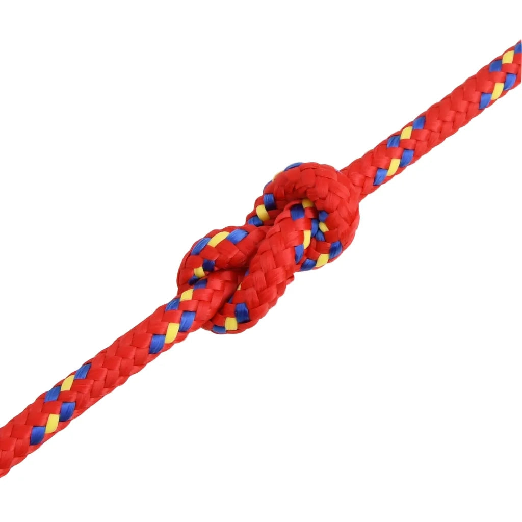 Corda per barca Rossa 10 mm 100 m in Polipropilene 152402