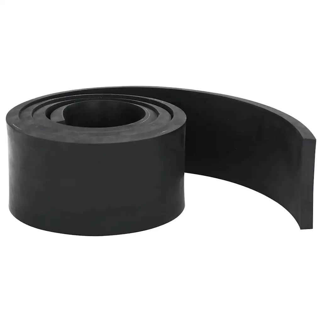 Bordo in Gomma per Spazzaneve Nero 180x10x1 cm 4103521