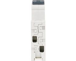 Installazione automatica 1-polo + neutro 25A caratteristica B (AT90202)